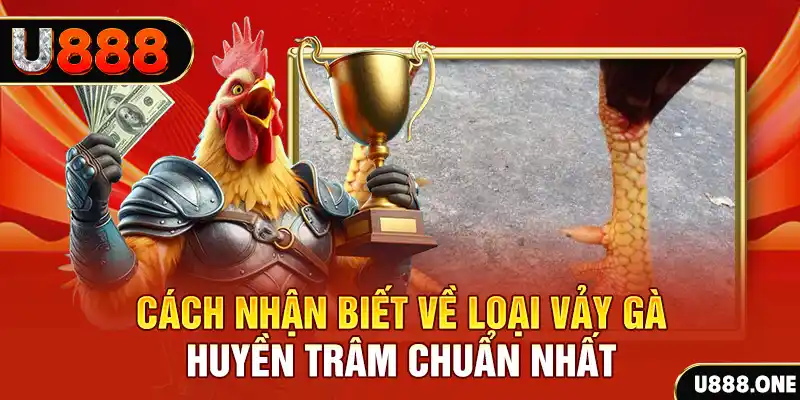 f8 f8bet Chú hề Patty tuổi teen