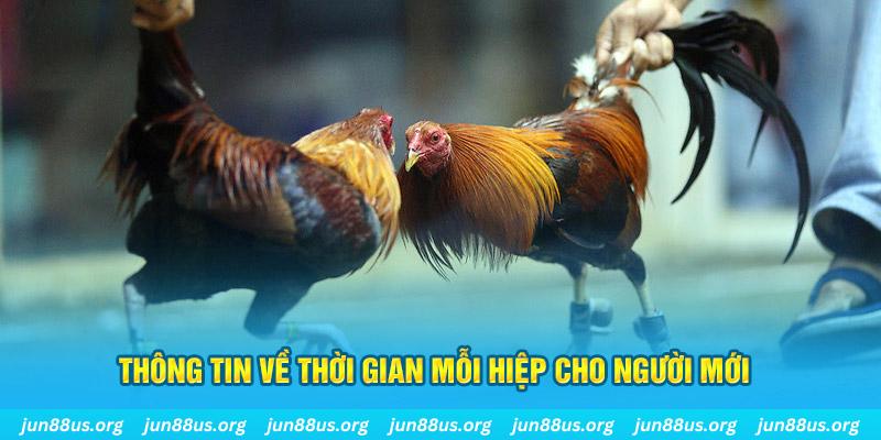 f8 f8bet Long Hổ 2