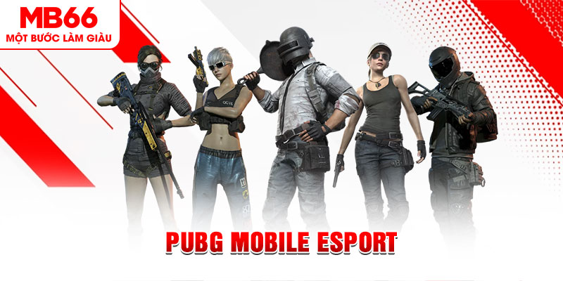 f8 f8bet gà chọi c1 mới nhất