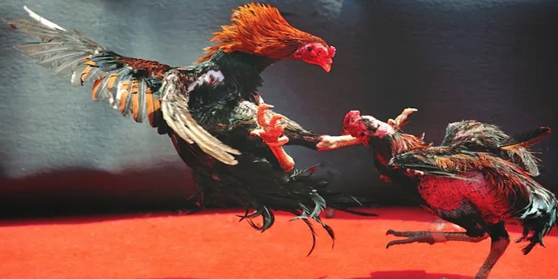 f8 f8bet đăng nhập nổ hũ số 1