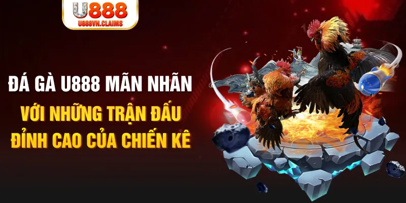 f8 f8bet kết quả xổ số miền bắc ngày hôm nay