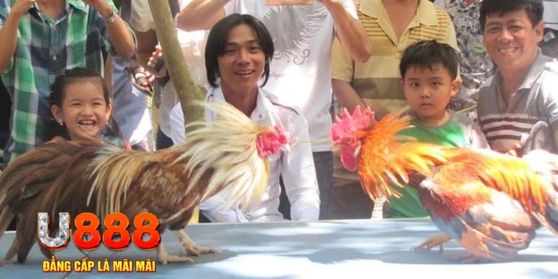 f8 f8bet mơ thấy nổ hũ đánh con gì