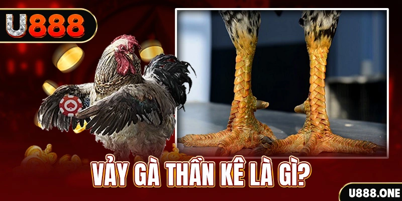 f8 f8bet xổ số miền bắc thứ tư hàng tuần