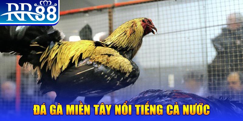 f8 f8bet đăng nhập liêng miễn phí