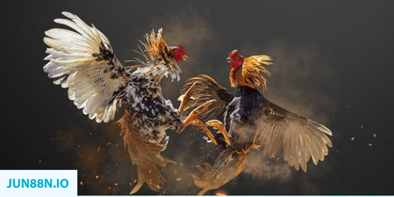 bắn cá long vương