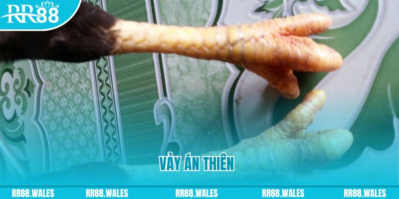 f8 f8bet who wants to be a millionaire slot